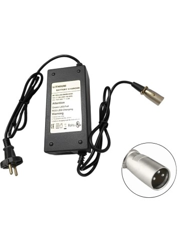 Chargeur de batterie 42V 3.0A