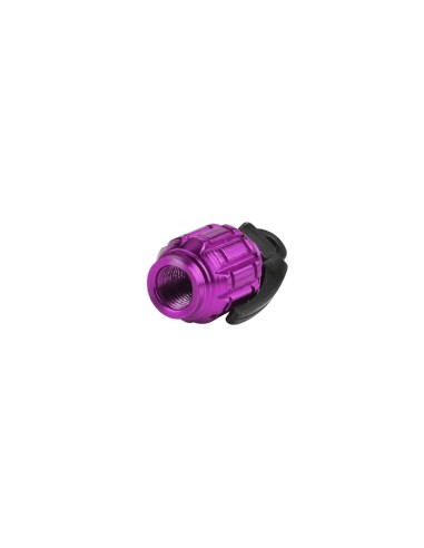 Bouchon de valve de pneu en aluminium violet