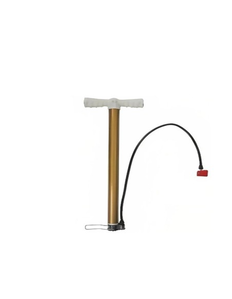 Mini Pompe vélo à main avec embout double tête -doré