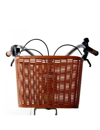 Vélo de ville Rodeo 6026 C6V avec panier blanc