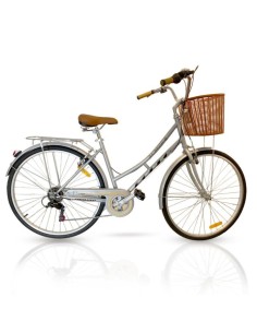 Vélo de ville Rodeo 6026 C6V avec panier gris