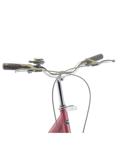 Vélo de ville Trinx Cute 1.0 24 pouces rose