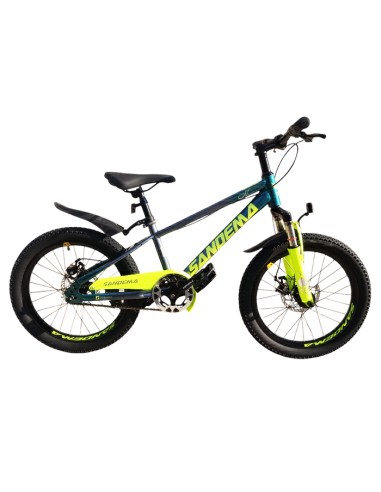 Vélo enfant San dema 20 pouces vert