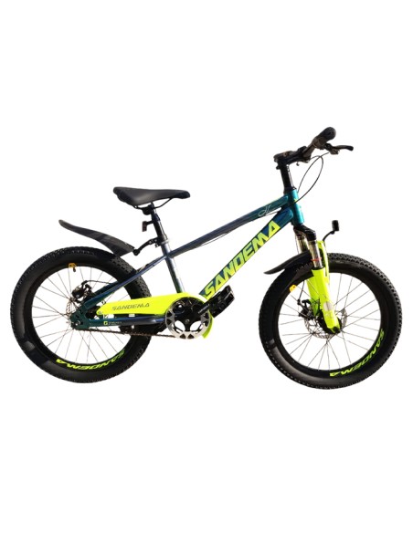 Vélo enfant San dema 20 pouces vert